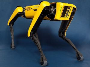 سگ رباتیک 2