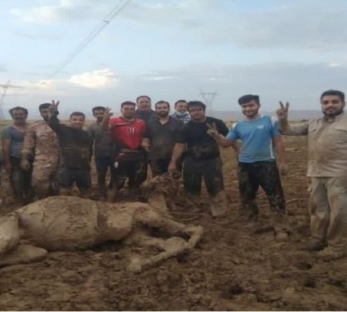 نجات فرد عشایر و گله شترش از سیلاب در لارستان فارس