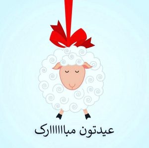 عکس گوسفند عید قربان