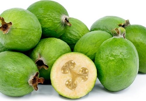 میوه گیاه فیجوا انبار ویتامین C است