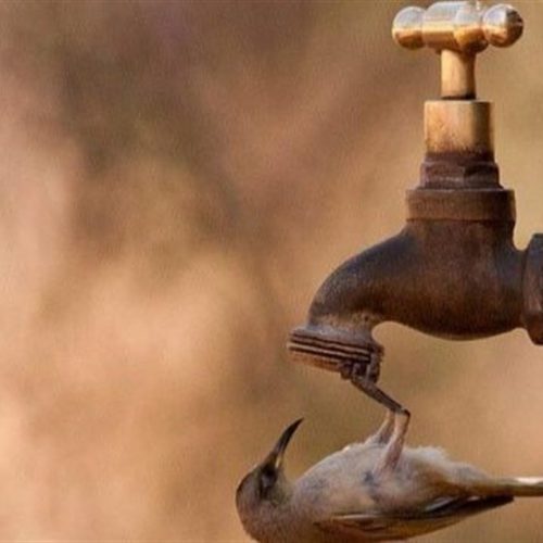 گزارش قطع کامل و ۳ روزه آب شرب روستای تفهیان شیراز