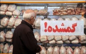 بازار مرغ استان فارس در دست دلالان ، مردم سرگردان ، تجمع مسئولان در کشتارگاه