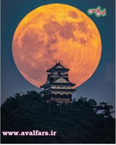 زیبایی های ژاپن از نگاه earthfocus+تصاویر