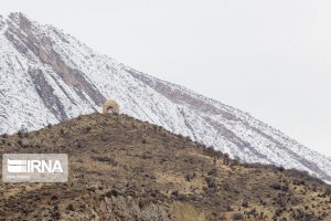 کوه دراک شیراز 10