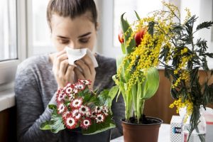 گیاهان آپارتمان حساسیت زا 5