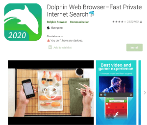 ۷. Dolphin Web Browser